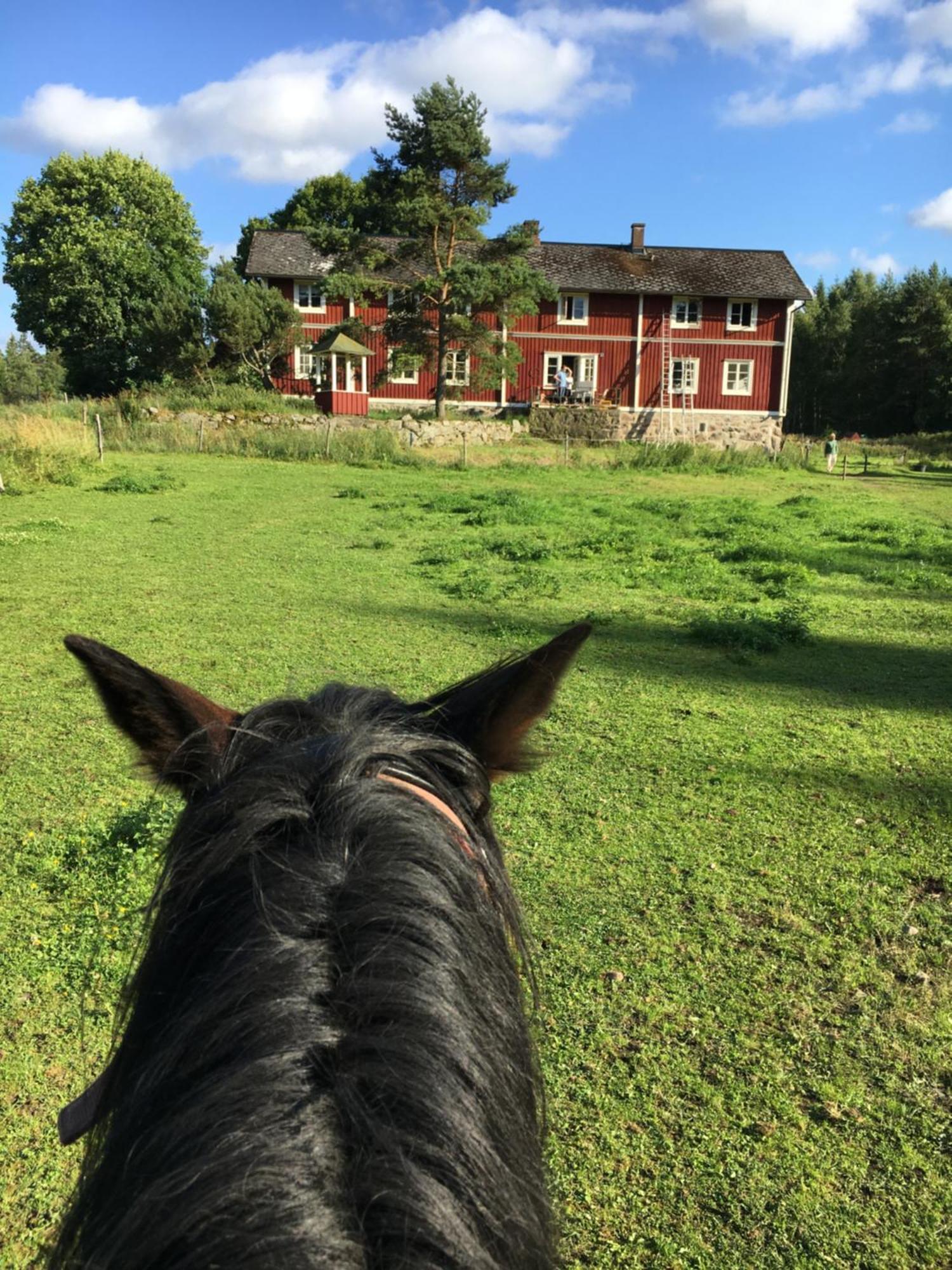 Roenhult Homestay Vilshult